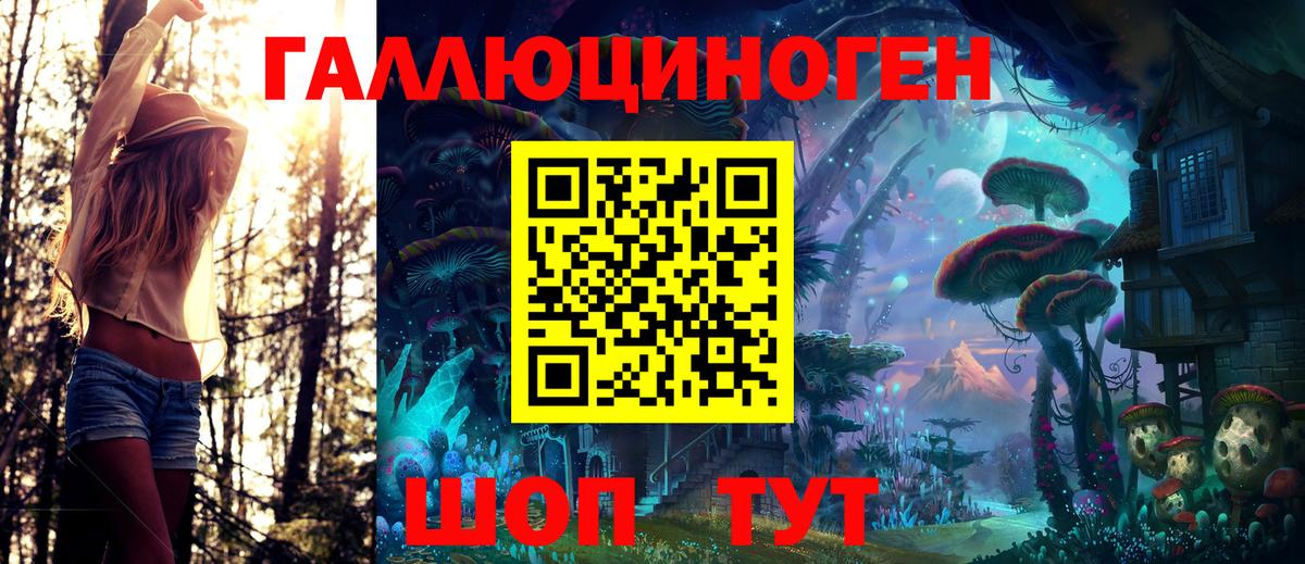 Галлюциногенные грибы Psilocybine cubensis  Псилоцибиновые грибы MAGIC MUSHROOMS  Ипатово  Вход с VPN 