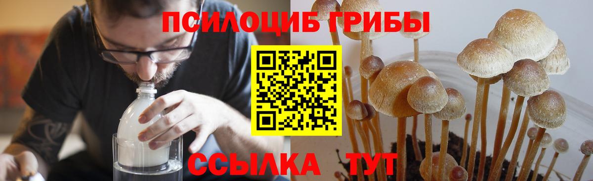 Галлюциногенные грибы Magic Shrooms Ипатово